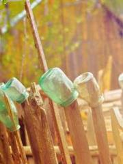 Rong Zhao, male, Nin