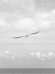 One Night of Indulge